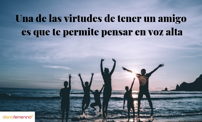 Frase sobre las virtudes de tener un buen amigo